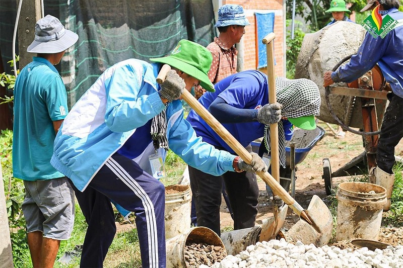 cá cược thể thao hul city